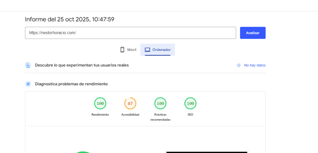 Resultado de PageSpeed Insights en ordenador: 100 de rendimiento